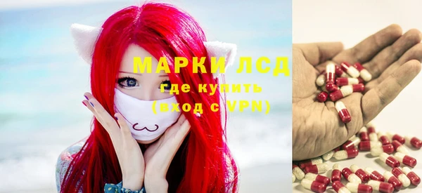 ПСИЛОЦИБИНОВЫЕ ГРИБЫ Богородск