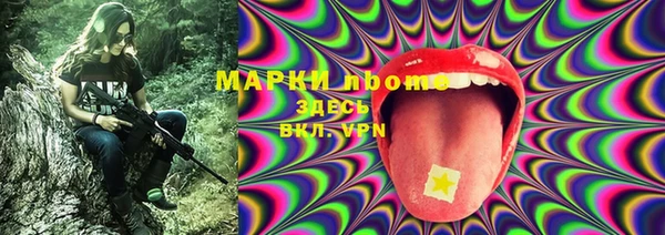 ПСИЛОЦИБИНОВЫЕ ГРИБЫ Богородск
