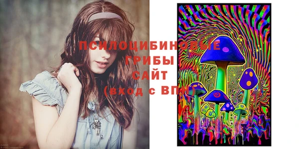 круглые Богданович