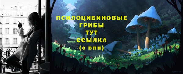 круглые Богданович