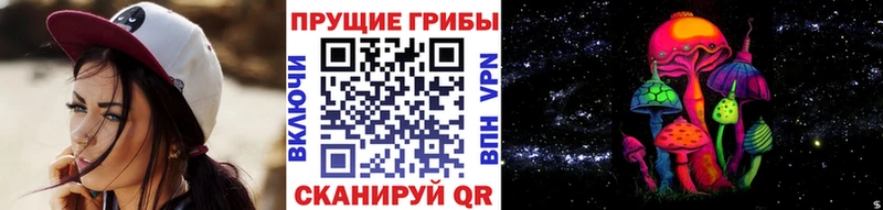 Псилоцибиновые грибы GOLDEN TEACHER  Купить закладки  Сальск 