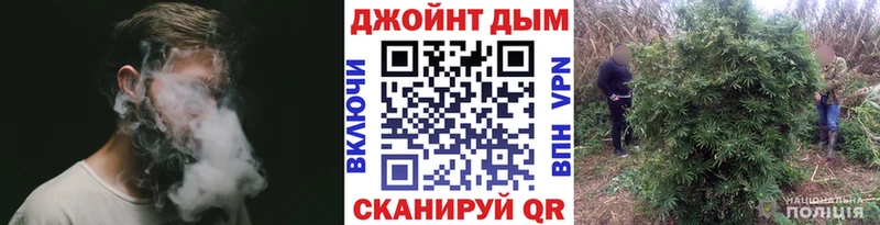 Купить где  Сальск  Бошки марихуана марихуана 